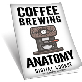 Coffee Brewing Anatomy