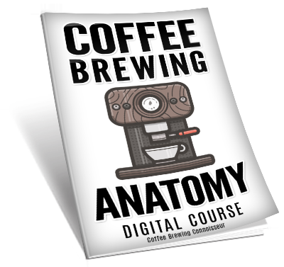 Coffee Brewing Anatomy
