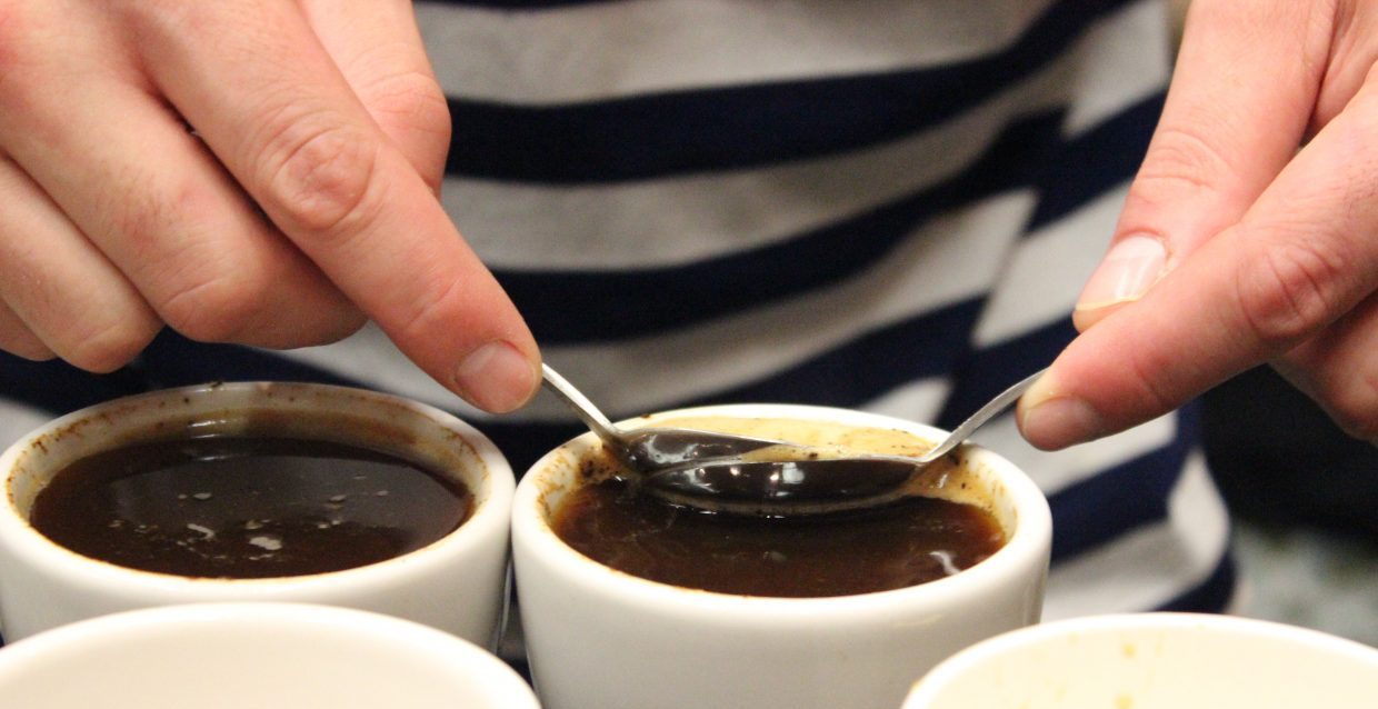 Sniff, Slurp, Spit, Repeat: Cupping Events at the Specialty Coffee Expo