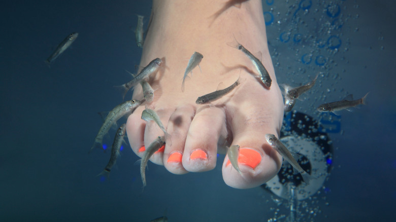 The untold truth of fish spa pedicures