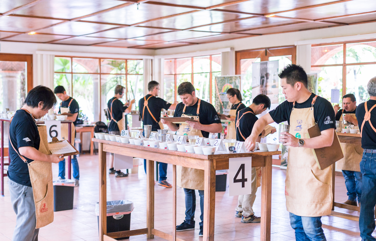With Unrest in Nicaragua, ACE Shipping Cup of Excellence Coffees Ahead of Auction
