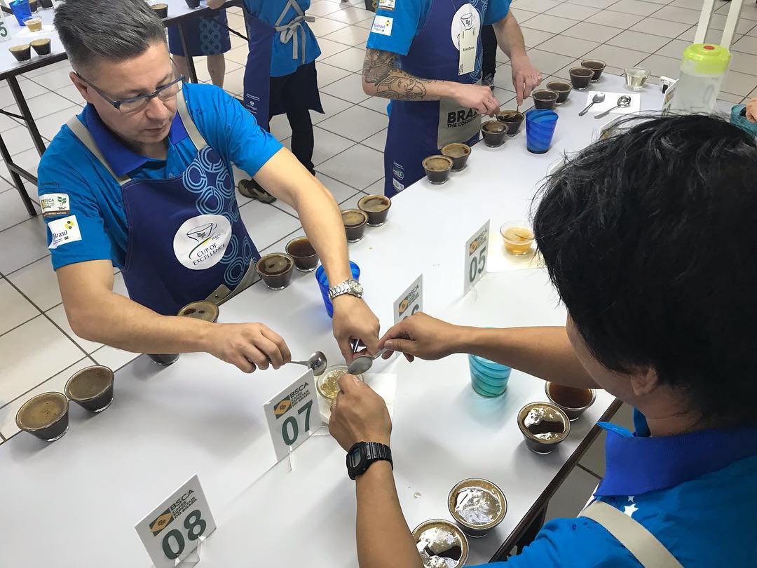 80 Lots of 86+ Brazilian Coffees Head to Cup of Excellence Auctions