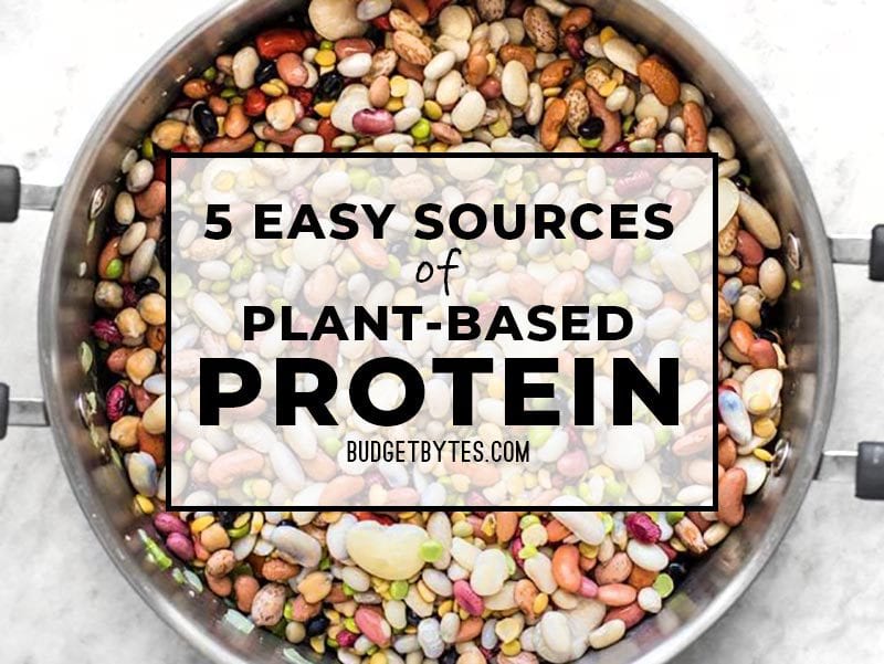 5 Easy Sources of Plant-Based Protein
