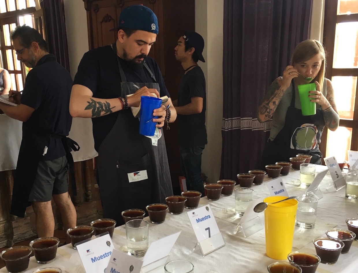 Exploring Some of Mexico’s Best Coffees with Caravela’s Aromas