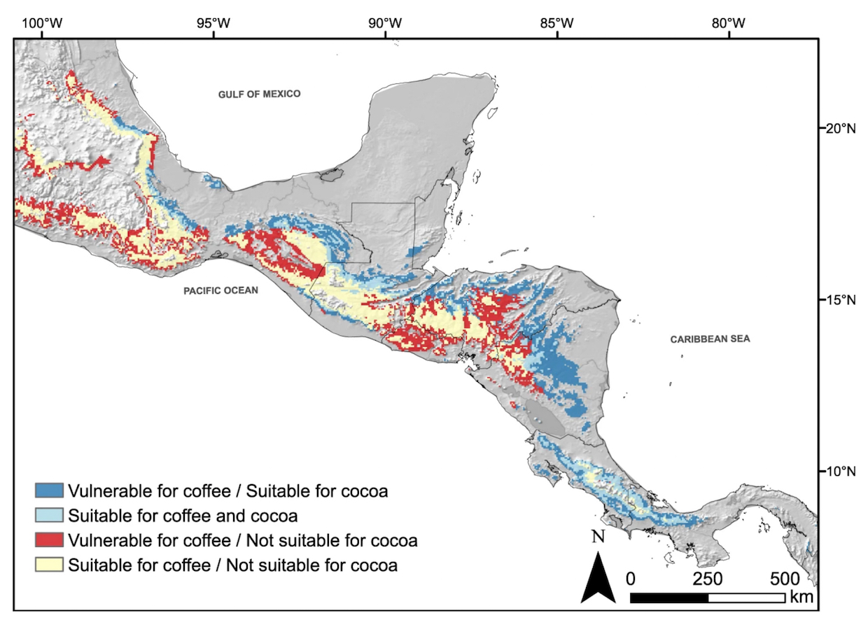 Cocoa Could Fill In as Arabica Loses Ground to Climate Change, Research Suggests