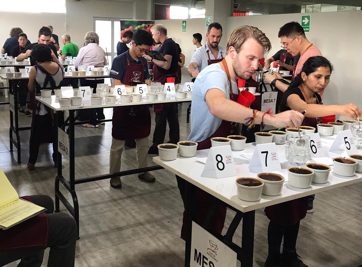 Many Varieties Shine at the Third Peru Cup of Excellence in Jaén