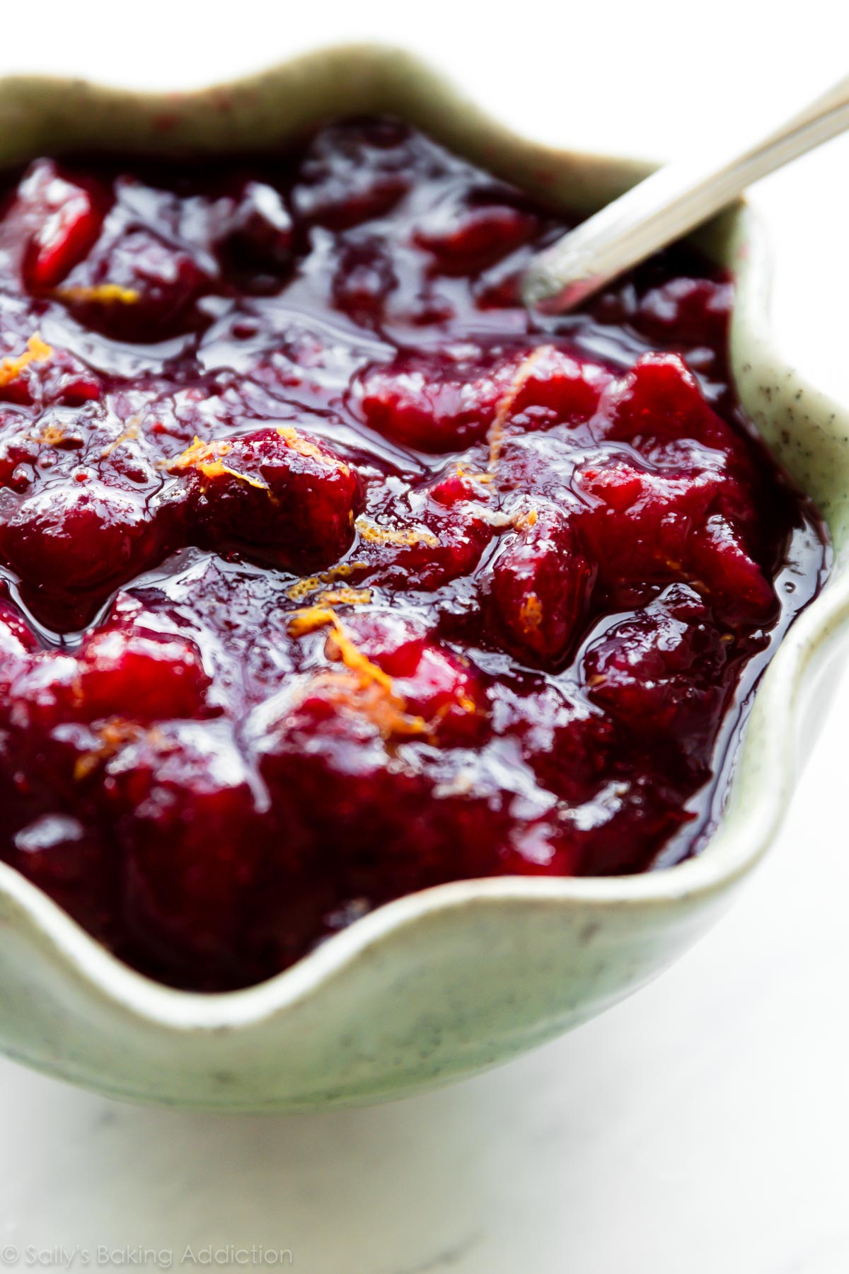 Our Favorite Cranberry Sauce Recipe | Fun Facts Of Life