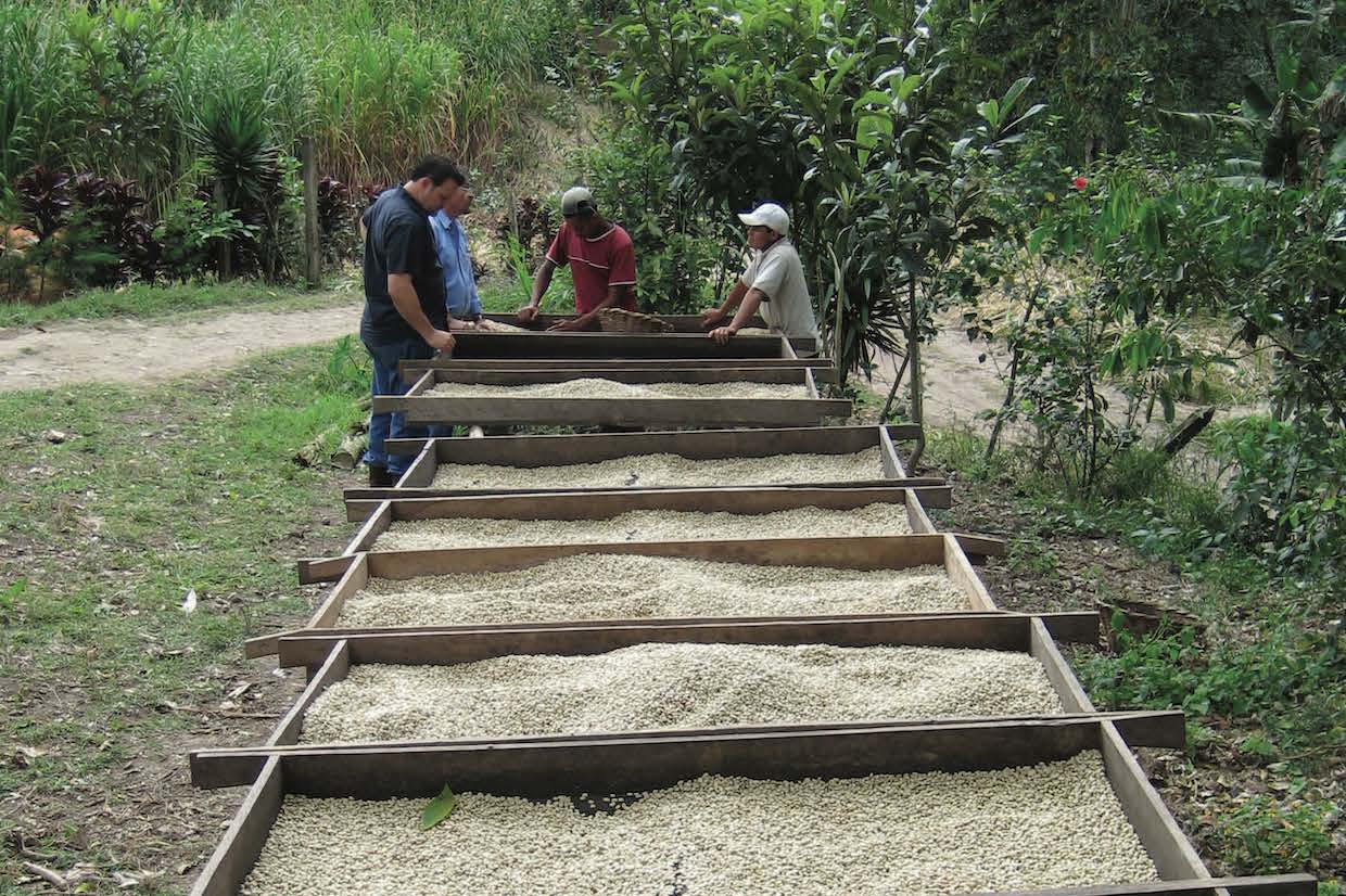 What Your Broker Wishes You Knew: A Guide to Being a Responsible Green Coffee Buyer