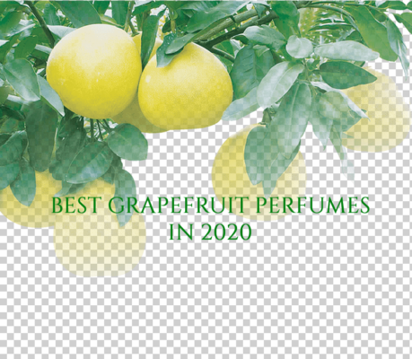 best grapefruit perfumes 2020