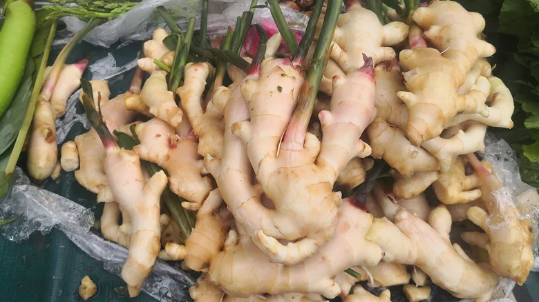 Why You Should Be Eating Galangal