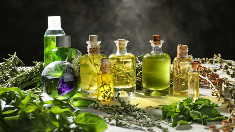 The Untold Truth Of Essential Oils
