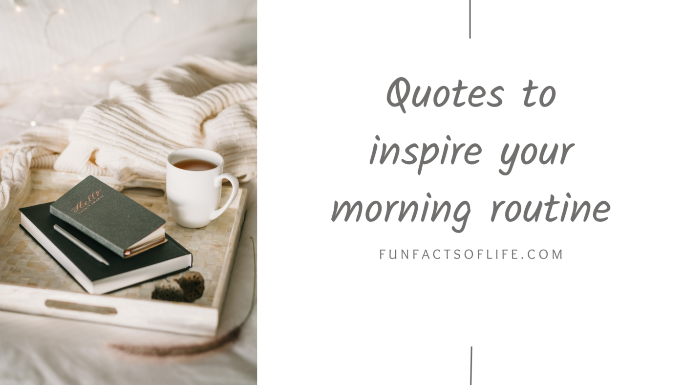 Quotes to inspire your morning routine