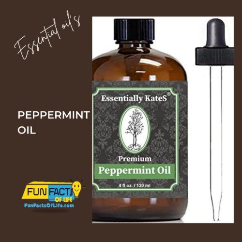 EssentiallyKateS-PeppermintOil