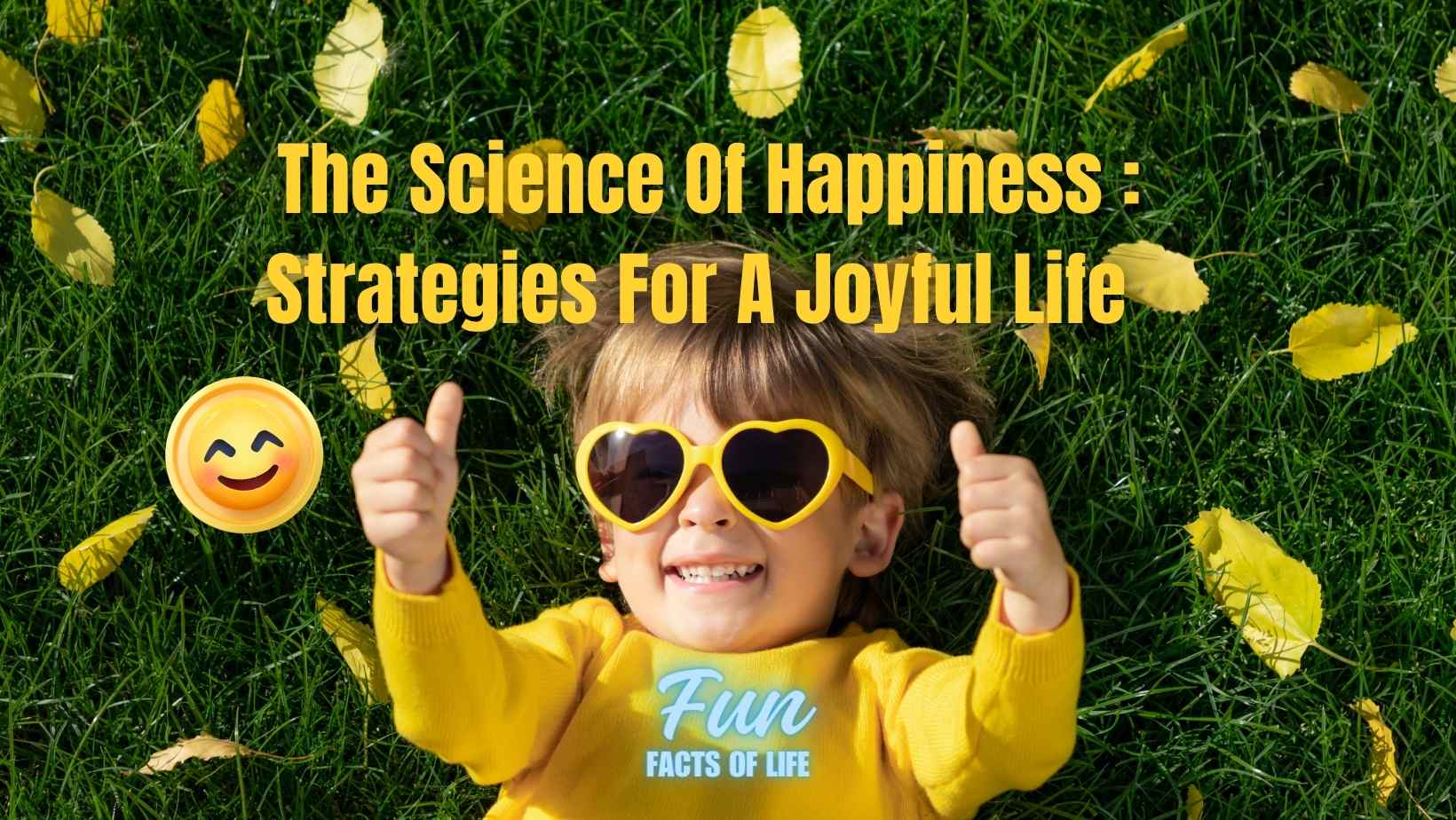 The Science Of Happiness : Strategies For A Joyful Life