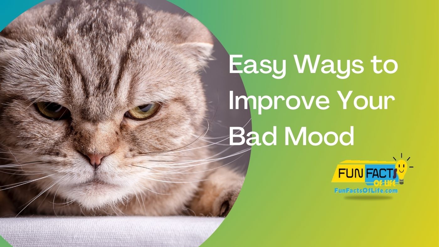 3 Easy Ways to Improve Your Bad Mood